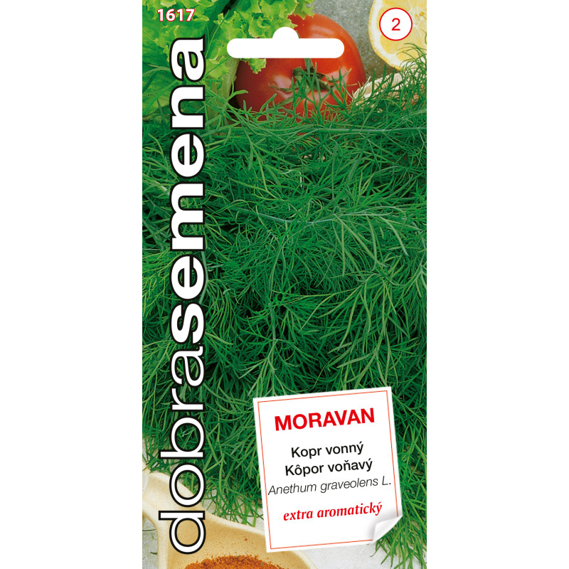 Kôpor voňavý Moravan