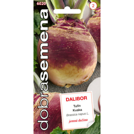 Kvaka Dalibor