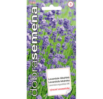 Levandula lekarska