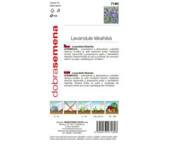 Levandula lekárska 7180 DS-3