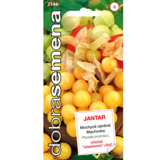MACHOVKA ANANASOVA JANTAR