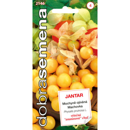 MACHOVKA ANANASOVA JANTAR