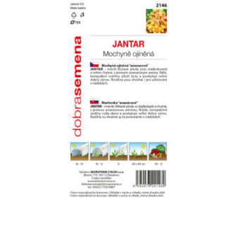 Machovka ananásová Jantar