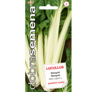 Mangold Lucullus