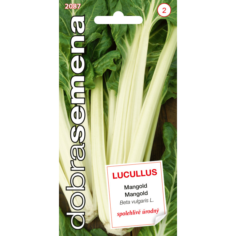 Mangold Lucullus