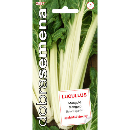 Mangold Lucullus
