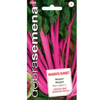 Mangold Magenta Sunset