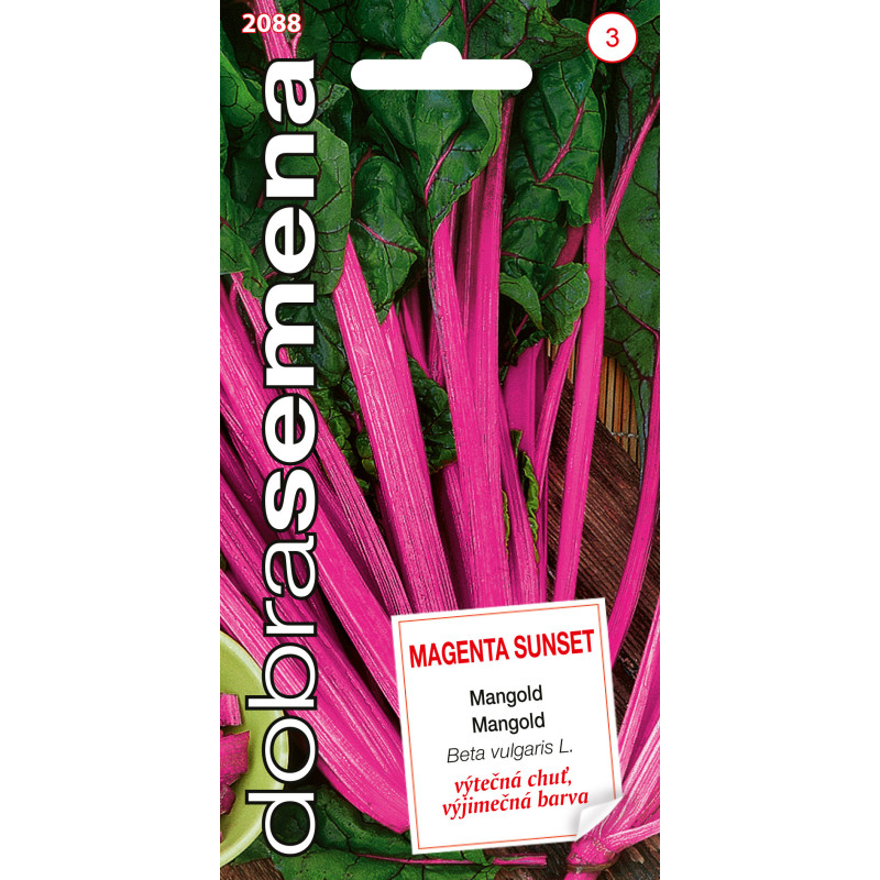 Mangold Magenta Sunset