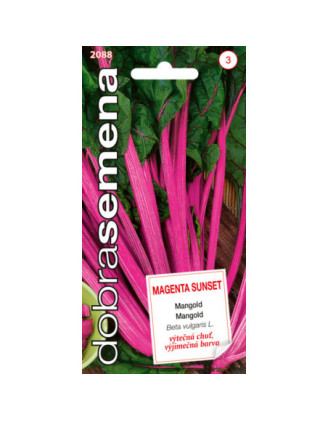 Mangold Magenta Sunset