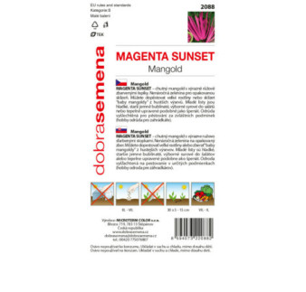 Mangold Magenta Sunset