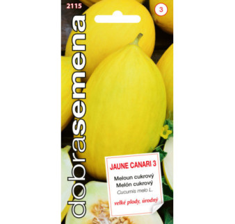 Melon cukr Jaune Canary