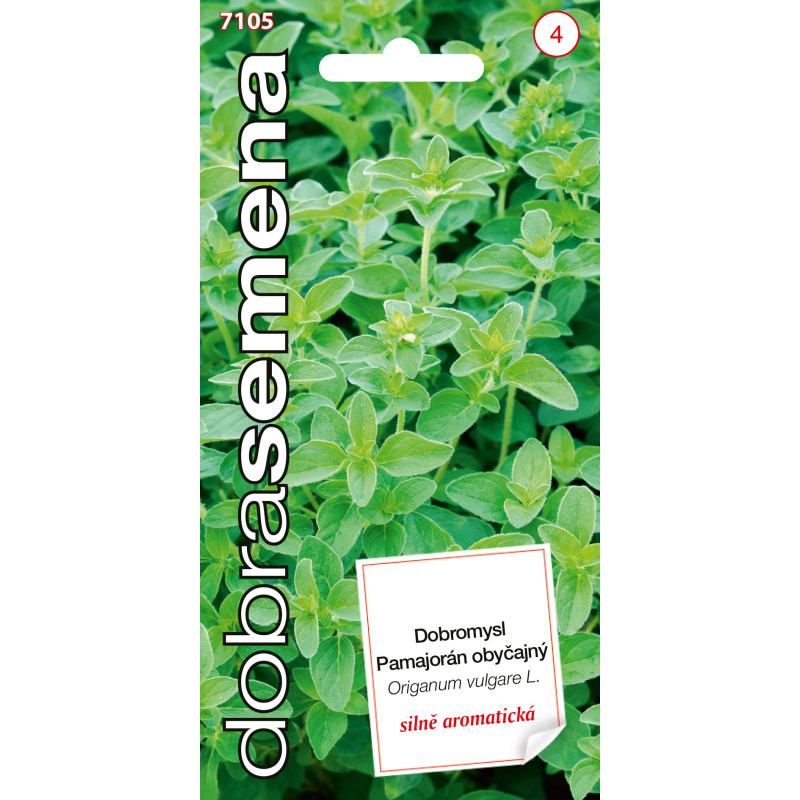 Oregano pamajorán obyčajný 7105 DS-4