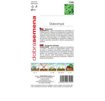 Oregano pamajorán obyčajný 7105 DS-4