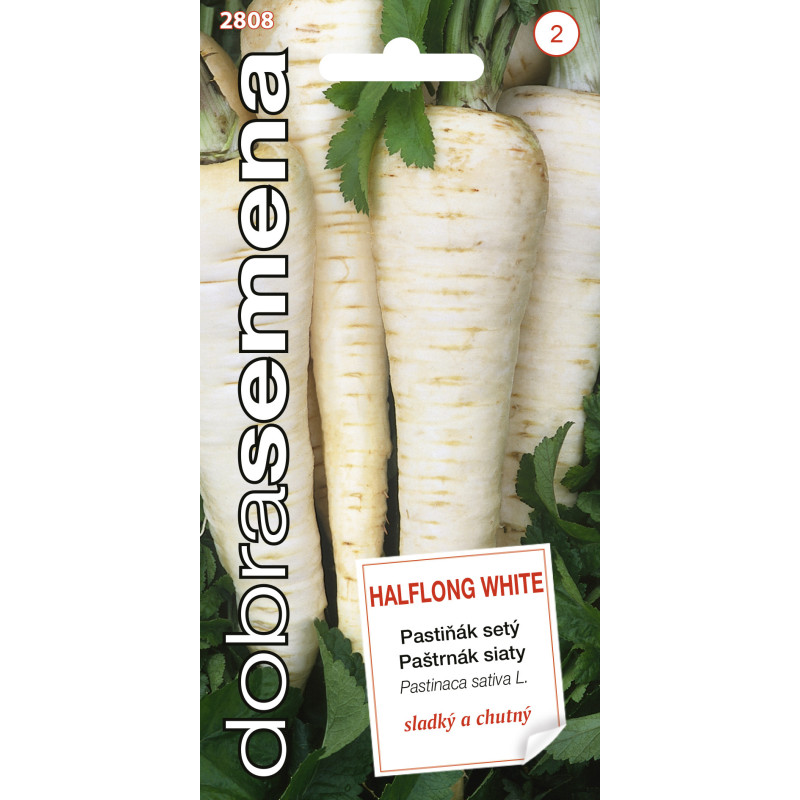 Paštrnák Halplong White