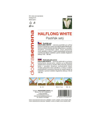 Pastrnak Halplong White
