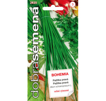 Pazitka prava Bohemia