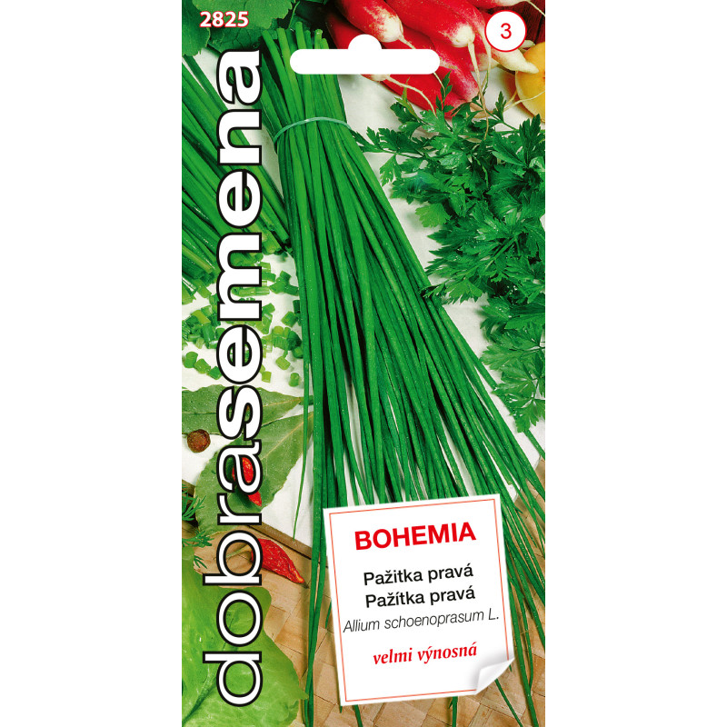 Pažítka pravá Bohemia