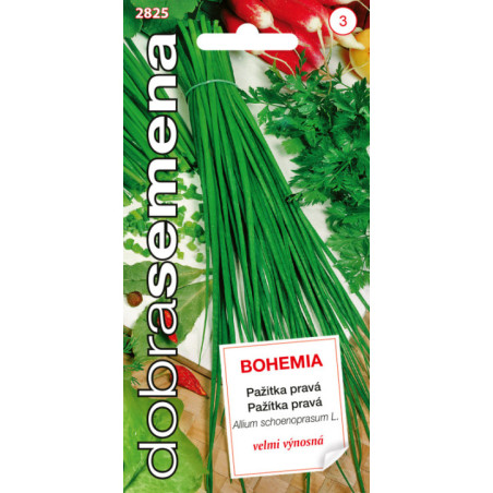 Pazitka prava Bohemia