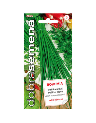 Pazitka prava Bohemia