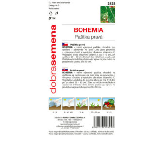 Pažítka pravá Bohemia