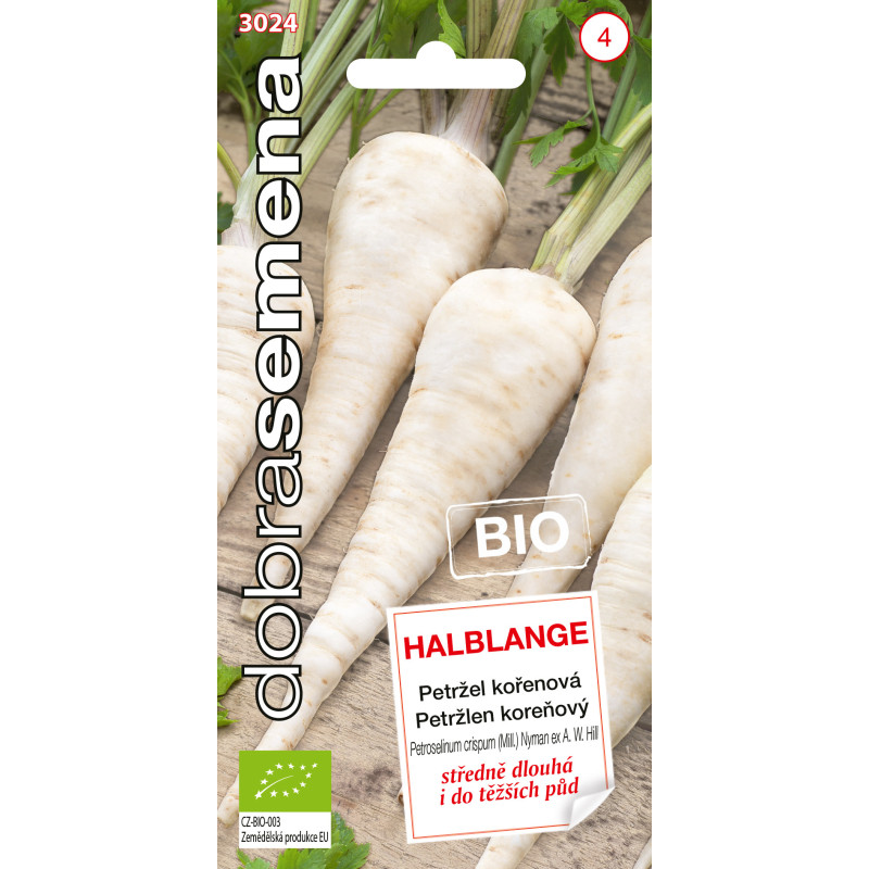 Petržlen koreňový Halblange BIO 3024 DS-4