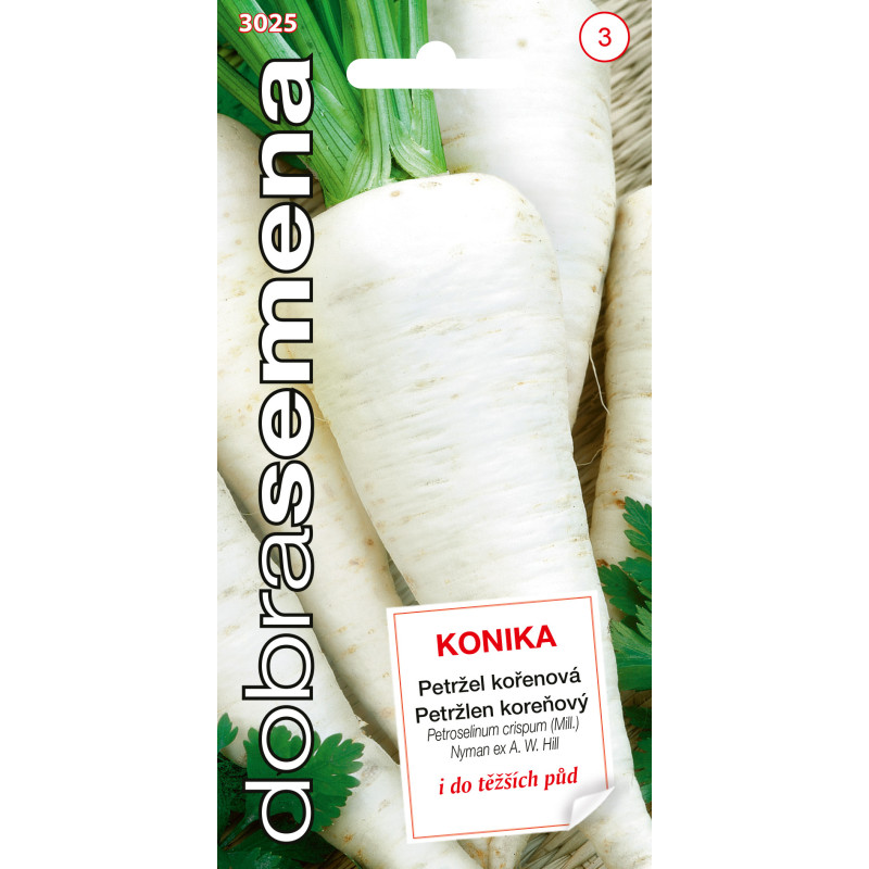 Petržlen koreňový Konika 3025 DS-3