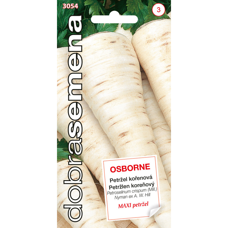 Petržlen koreňový Osborne maxi 3054 DS-3