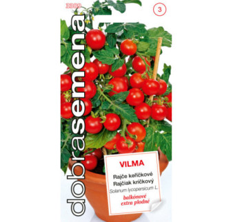 Rajciak krickovy Vilma