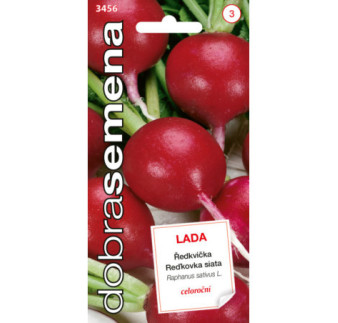 Redkovka celoroc Lada