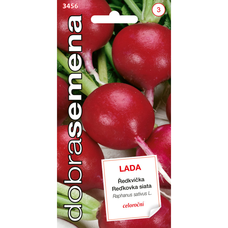 Reďkovka celoroc Lada