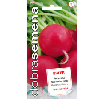 Redkovka cer celorocna Ester