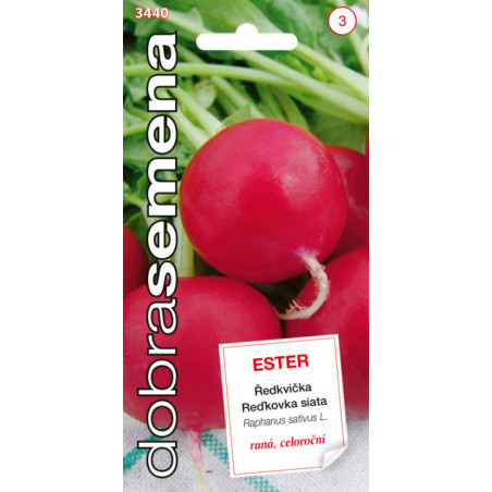 Redkovka cer celorocna Ester