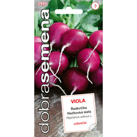 Redkovka cer fialova Viola