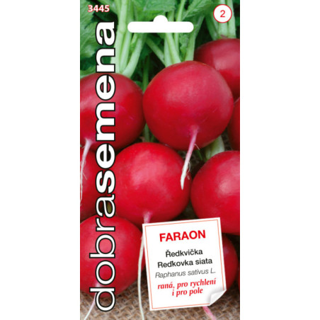 Redkovka skora Faraon