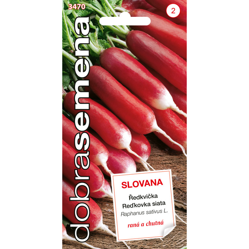 Reďkovka Slovana