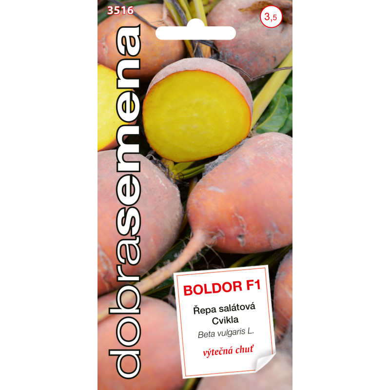 Repa šalátová Boldor F1