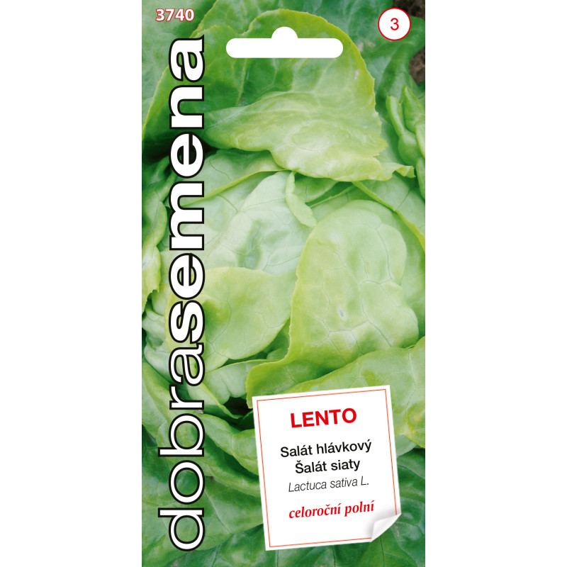 Šalát celoročný Lento