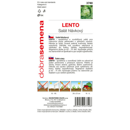 Šalát celoročný Lento