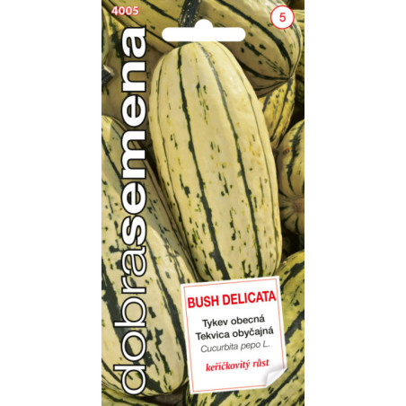 Tekvica Bush Delicata