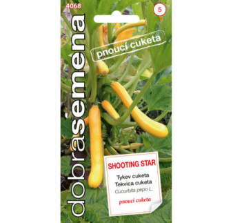 Tekvica cuketa Shooting Star