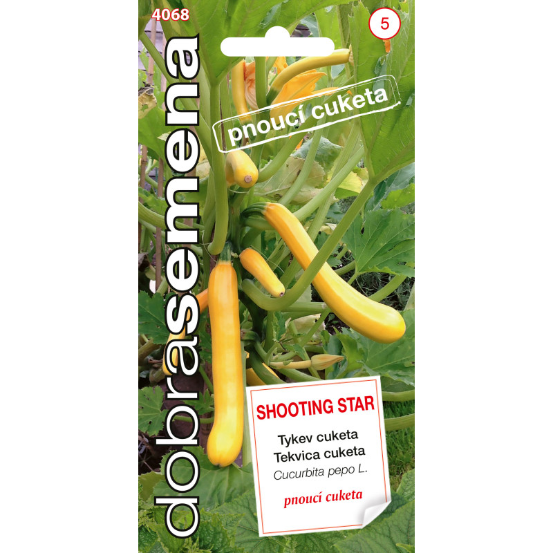 Tekvica cuketa Shooting Star