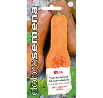 Tekvica muskatova Beja BEJA
