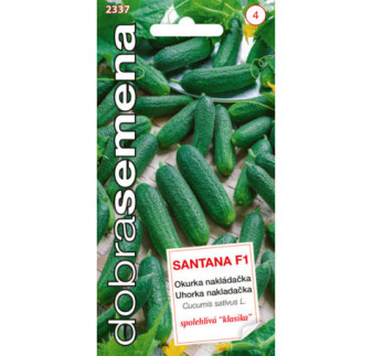 Uhorky nakladacky Santana