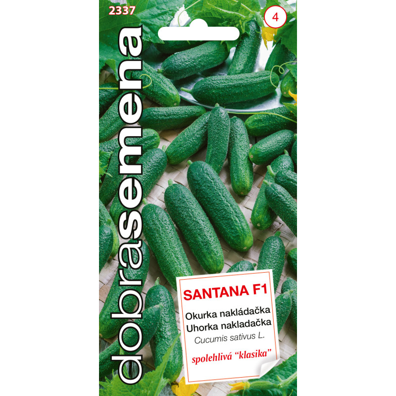 Uhorky nakladačky Santana