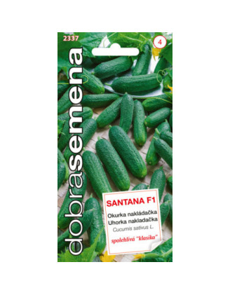 Uhorky nakladacky Santana