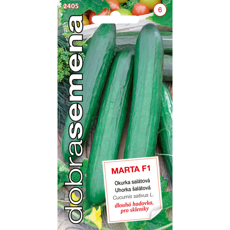 Uhorky šalátové Marta Uhorky šalátové Marta