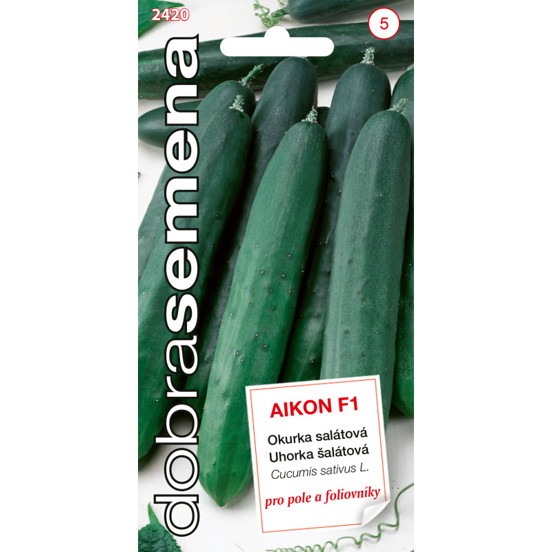 Uhorky skleníkové Aikon F1