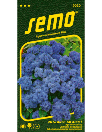 Agerát mexický Tetra blue