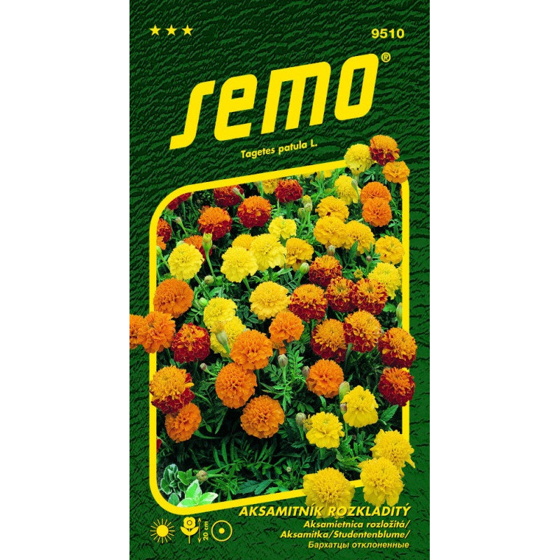 Aksamietnica Petit zmes