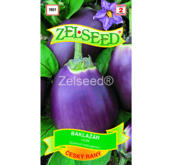 Baklazan cesky rany